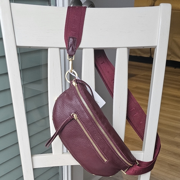 Hammitt Charles Crossbody med Cherrywood Pebble/Brushed Gold - Picture 8 of 10